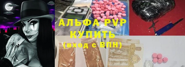 дживик Козельск