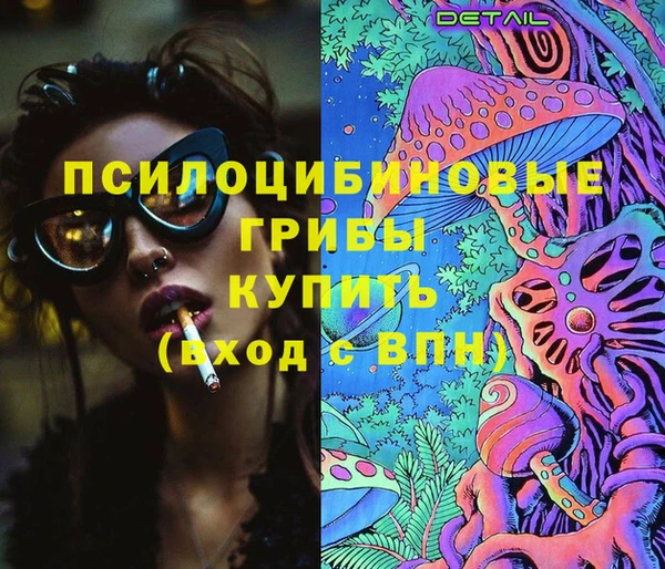 дживик Козельск