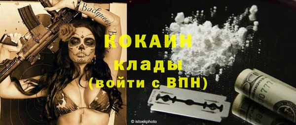 дживик Козельск